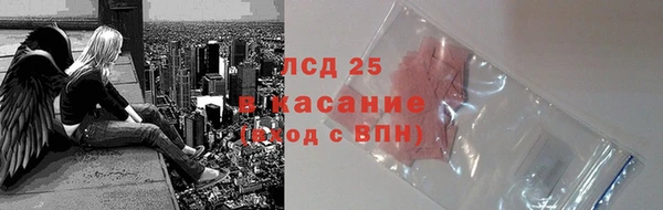 индика Белоозёрский