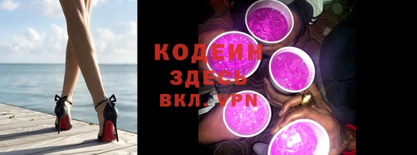 хмурый Белокуриха