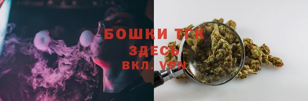 индика Белоозёрский